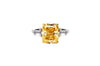 The Sienna Ring (4 Carat)