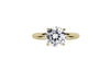 The Reign Ring (2.5 Carat)