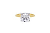 The Sienna Ring (4 Carat)